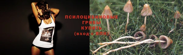 мяу мяу кристалл Нязепетровск