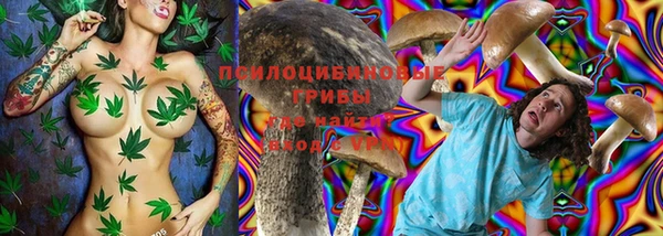 герыч Осинники